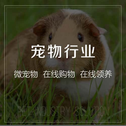 石河子宠物