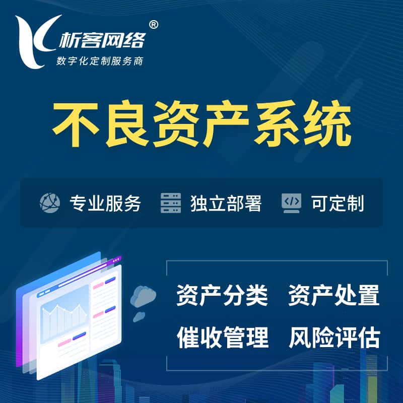 石河子不良资产管理系统